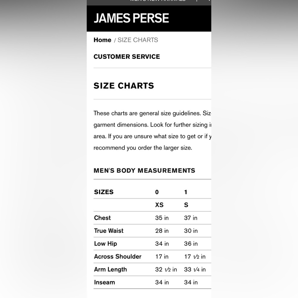 James Perse Basic Distressed Grey Size 1 Polo Shi… - image 6